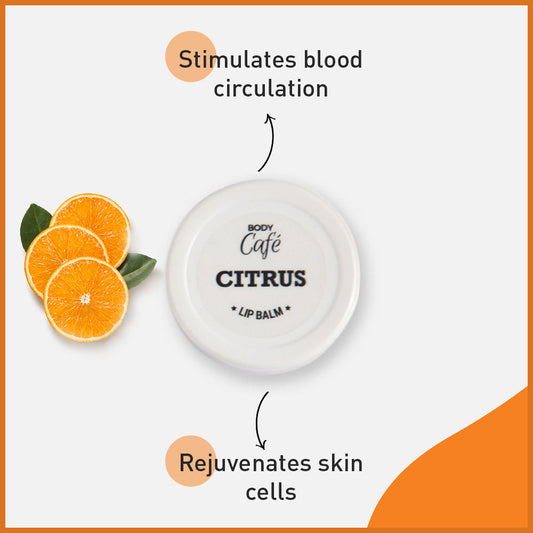 BodyCafé Citrus Lip Balm