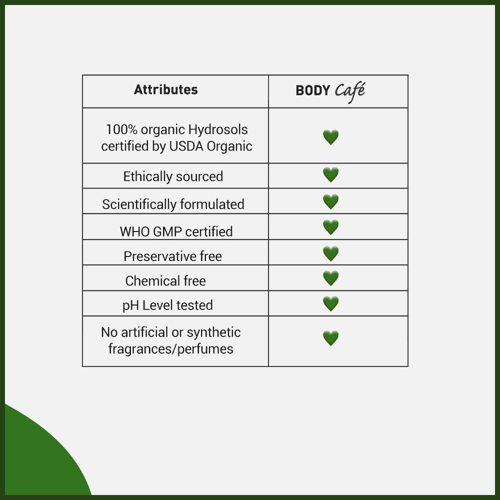 BodyCafé Tea Tree pore minimising Toner